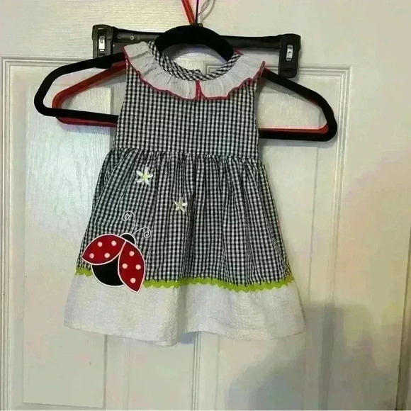 Other - Rare Editions gingham butterfly dress